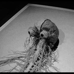 Meet your Posher, Dylan